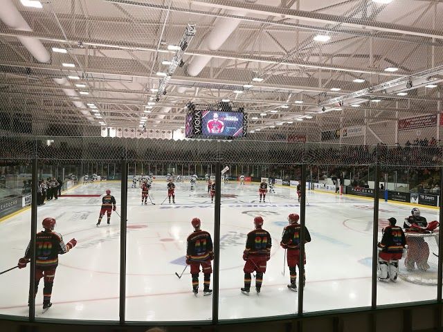 Viola Arena
