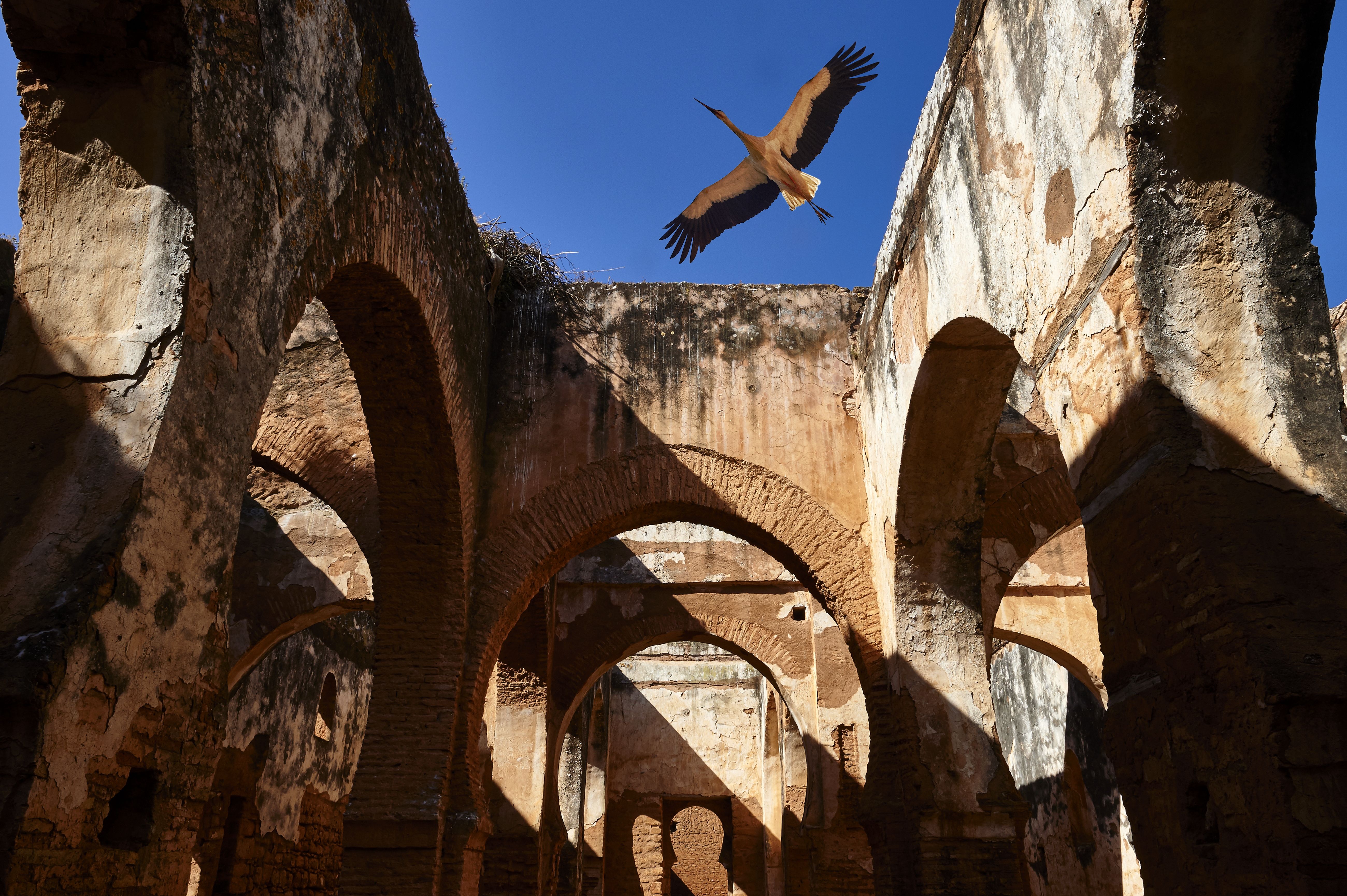 Chellah