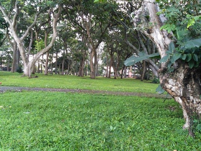 Parque del Cafe