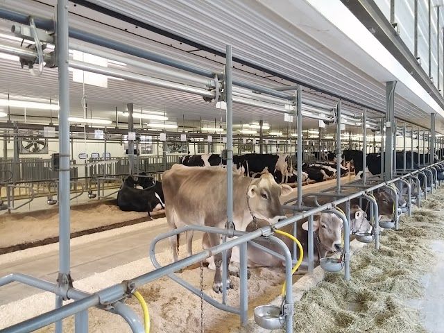 Arethusa Farm
