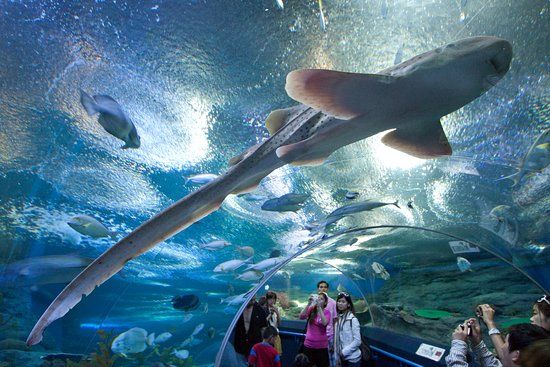 Underwater World