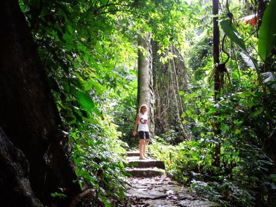 Cuc Phuong National Park