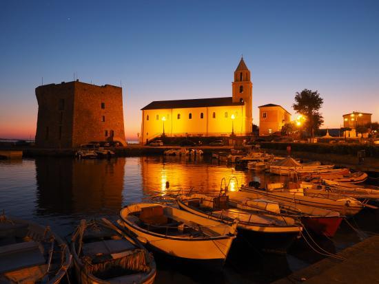 Acciaroli Port