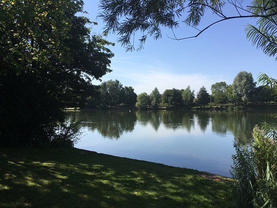 Needham Lake