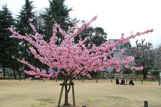 Parque Sugekari