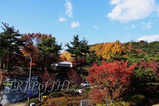 Jardines botánicos de Namsan