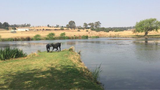 Walkhaven Dog Park