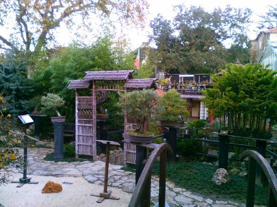 Museu do Bonsai