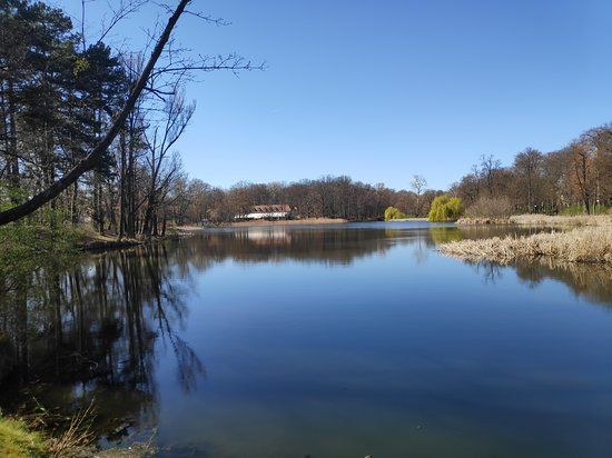 Park Solacki