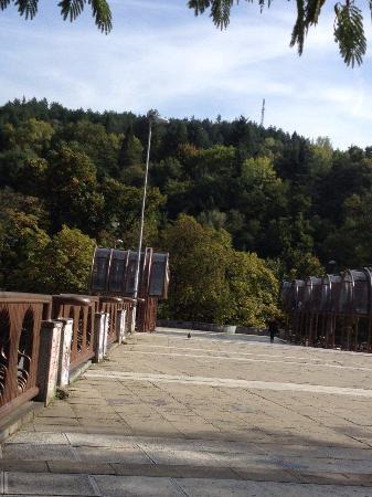 Bachinovo-Park