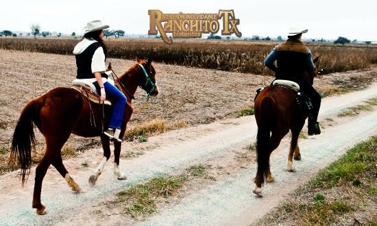 Ranchito TX