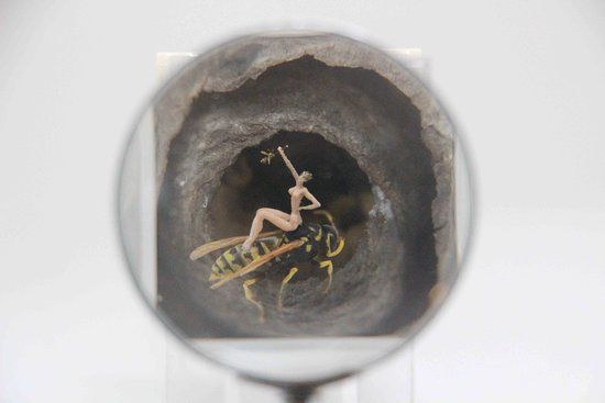 Museo Micro-Gigante