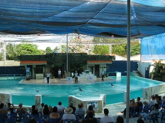 Aquarium de Samui