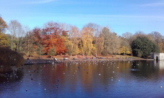 Mote Park
