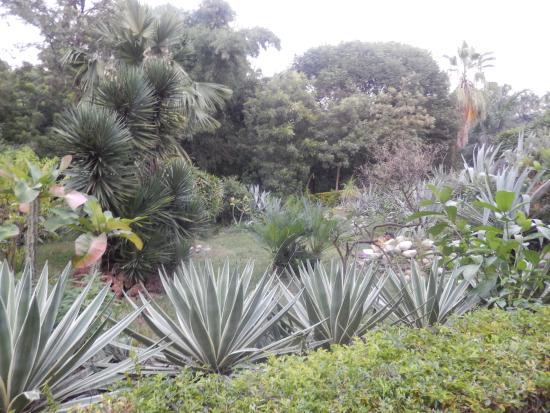 Port Trust Garden