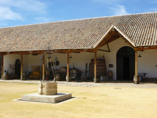 Museo del Vino