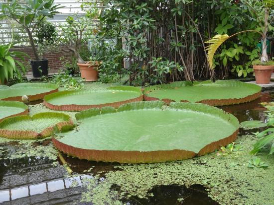 Botanical Gardens