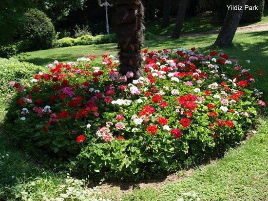 Parque de Yıldız