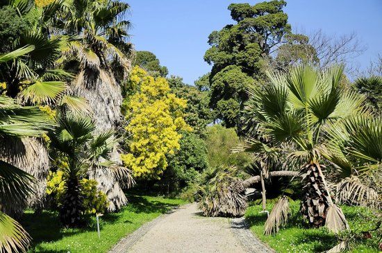 Thuret Garden