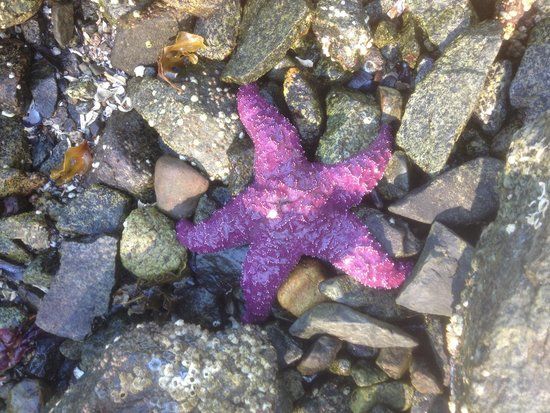 Smuggler Cove Marine Provincial Park