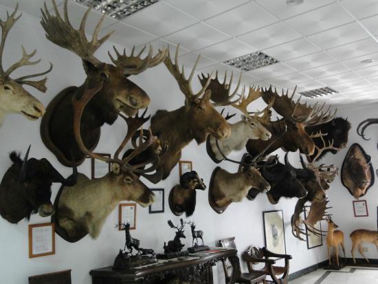 Museum von Ronda