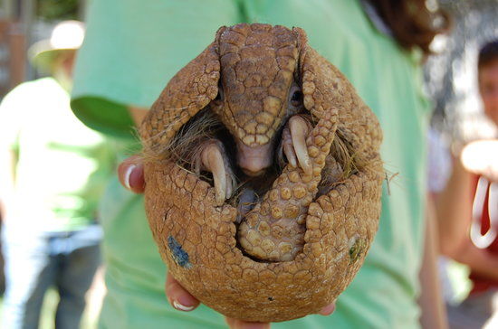 North Georgia Zoo