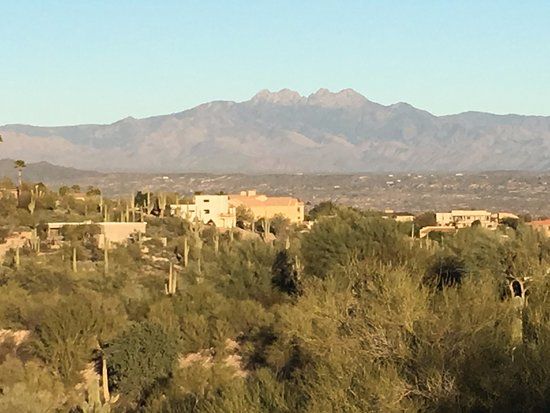 Fountain Hills Botanical Garden