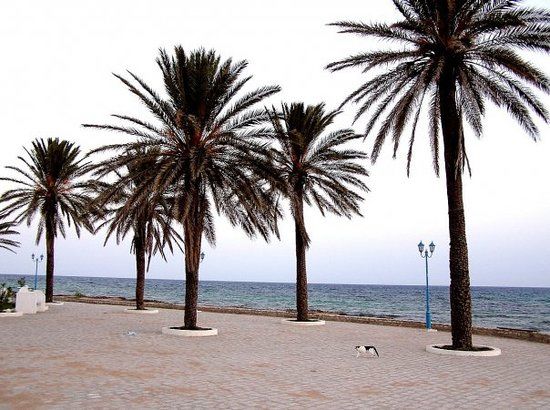 Médina de Hammamet