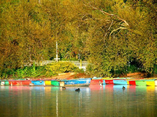 Jhb Zoo Lake