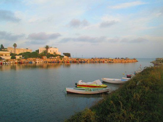Punic Ports Museum