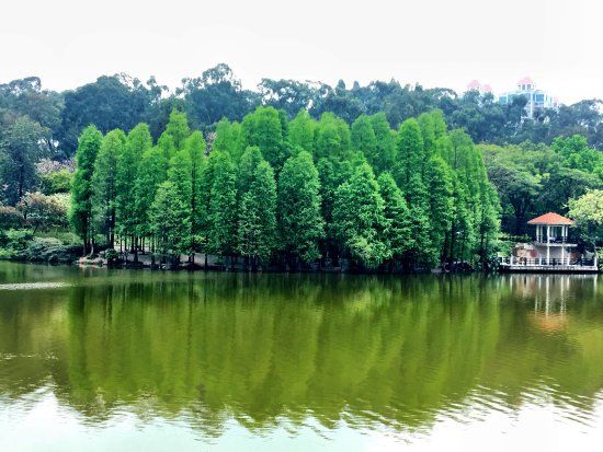 Luhu Park