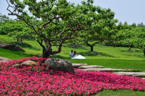 Chengdu Botanical Garden