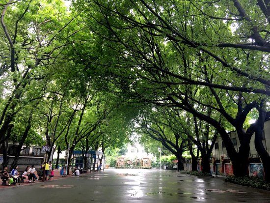 Guangzhou Cultural Park