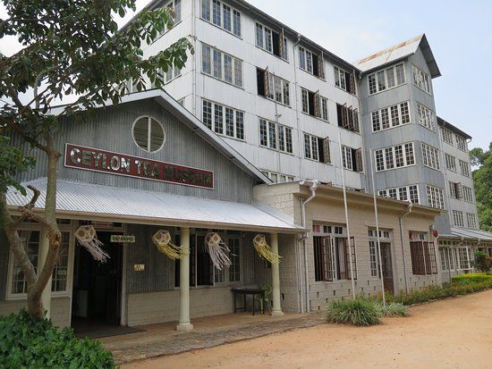 Ceylon Tea Museum
