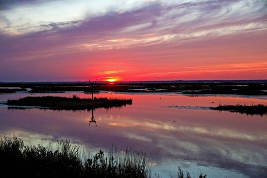 Edwin B Forsythe National Wildlife Refuge