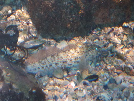 Biodiversarium