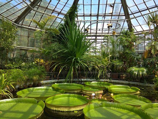 Orto botanico