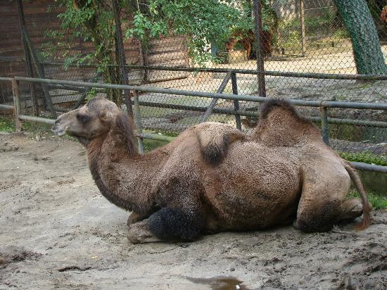 Lodz Zoo
