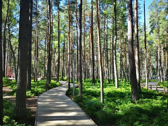Waldpark Dzintari