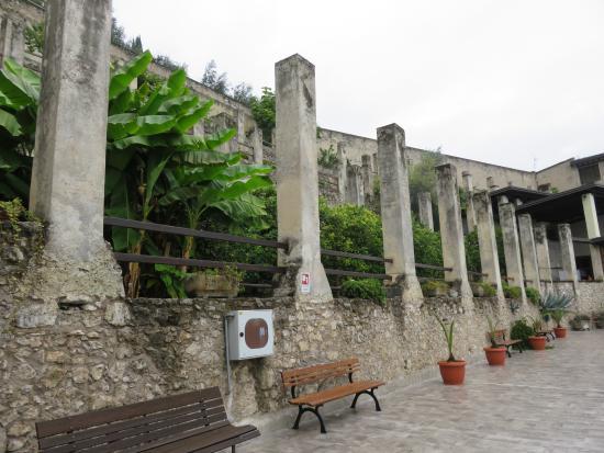 Museo Tesol