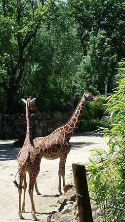 Zoo Osnabrück