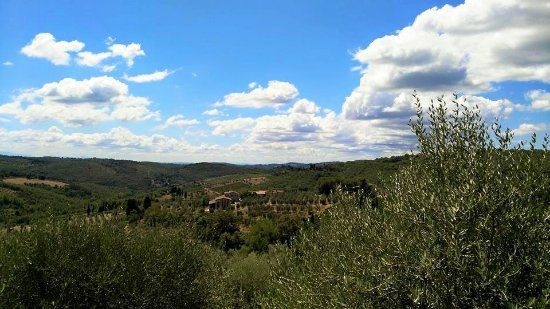 Podere L'Aja