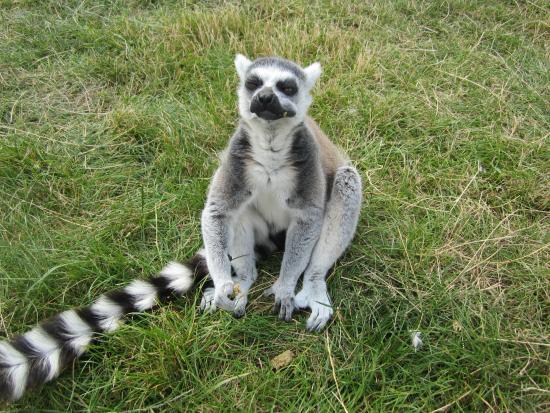 Reaseheath Zoo