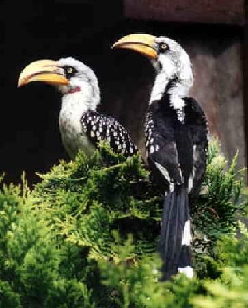 Vogelpark Niendorf