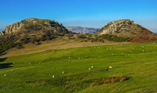 Deganwy Castle