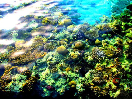 Eilat