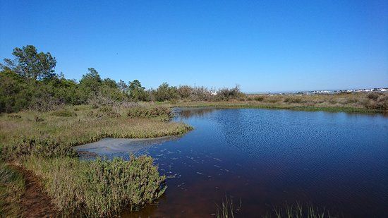 Naturpark Ria Formosa