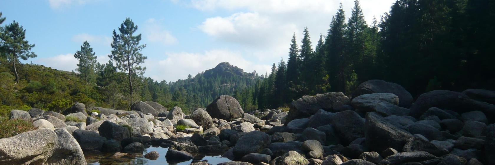 Cascada de Arado