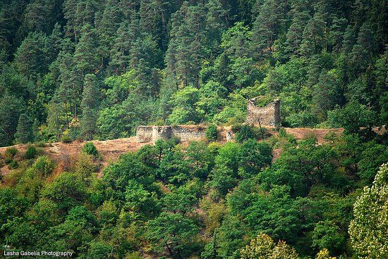 Gogia Fortress