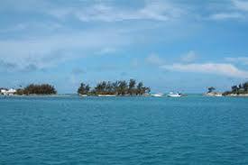 Mangrove Bay